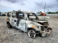 2004 Honda ELEMENT photo
