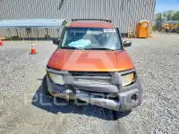 2004 Honda ELEMENT photo