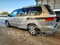 2004 Honda ODYSSEY photo