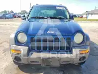 2004 Jeep LIBERTY фото