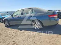 2004 Honda Accord photo