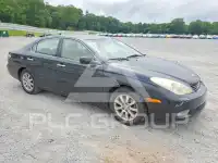 2004 Lexus ES330 фото