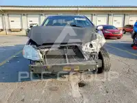 2004 Toyota COROLLA фото