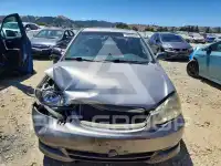 2004 Toyota COROLLA photo