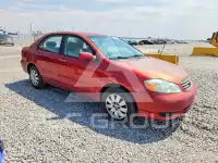 2004 Toyota COROLLA фото