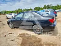 2004 Toyota COROLLA photo