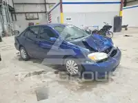2004 Toyota COROLLA фото