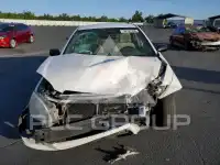 2004 Toyota COROLLA photo