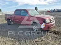 2004 Toyota TUNDRA фото