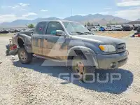 2004 Toyota TUNDRA фото