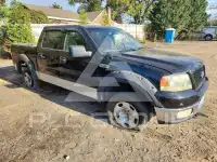 2004 Ford F-150 photo