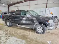 2004 Ford F-150 photo