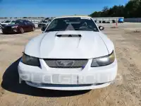 2004 Ford MUSTANG фото