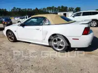 2004 Ford MUSTANG фото