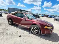 2004 Ford MUSTANG фото
