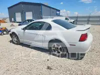 2004 Ford MUSTANG фото