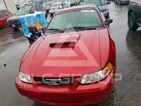 2004 Ford MUSTANG photo