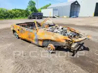 2004 Ford MUSTANG фото