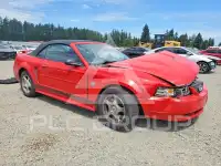 2004 Ford MUSTANG photo