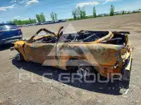 2004 Ford MUSTANG фото