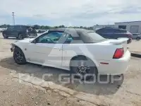 2004 Ford MUSTANG фото