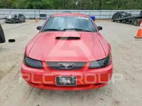 2004 Ford MUSTANG фото