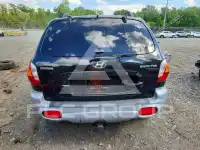 2004 Hyundai Santa Fe фото