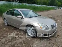 2005 Nissan MAXIMA photo