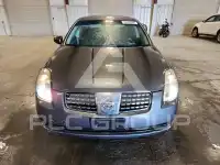 2005 Nissan MAXIMA photo