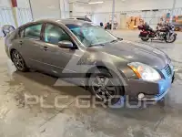2005 Nissan MAXIMA photo