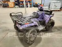 2005 Polaris  фото