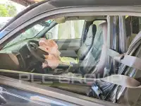 2005 Chevrolet Colorado фото