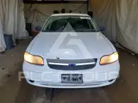 2005 Chevrolet Malibu photo