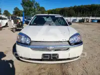 2005 Chevrolet Malibu фото