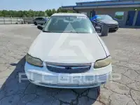 2005 Chevrolet Malibu фото