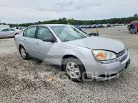 2005 Chevrolet Malibu фото