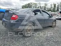 2005 Dodge NEON фото