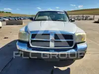2005 Dodge DAKOTA photo