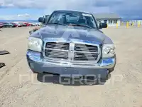 2005 Dodge DAKOTA фото