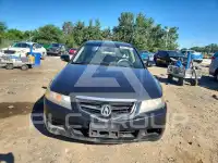 2005 Acura TSX фото