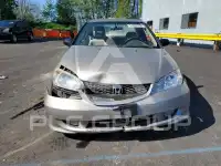 2005 Honda CIVIC photo