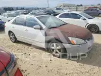 2005 Honda Accord фото