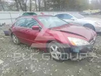 2005 Honda Accord photo