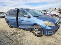2005 Honda ODYSSEY фото