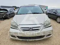 2005 Honda ODYSSEY фото