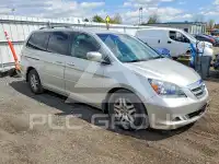 2005 Honda ODYSSEY фото