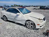 2005 Mercedes Benz CLK photo