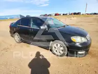 2005 Toyota COROLLA photo