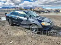 2005 Toyota COROLLA фото
