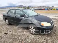 2005 Toyota COROLLA photo